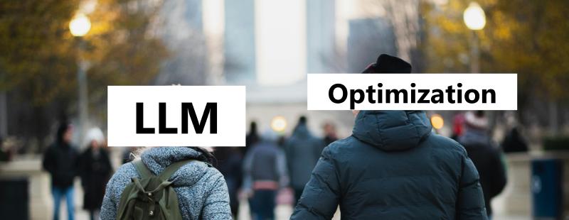 Featured image of post LLM-ify me - Optimization edition